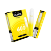 Flumlite Disposable Vape 600 Puffs