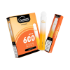 Flumlite Disposable Vape 600 Puffs