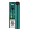 Salt Disposable Vape Kit 600 Puffs